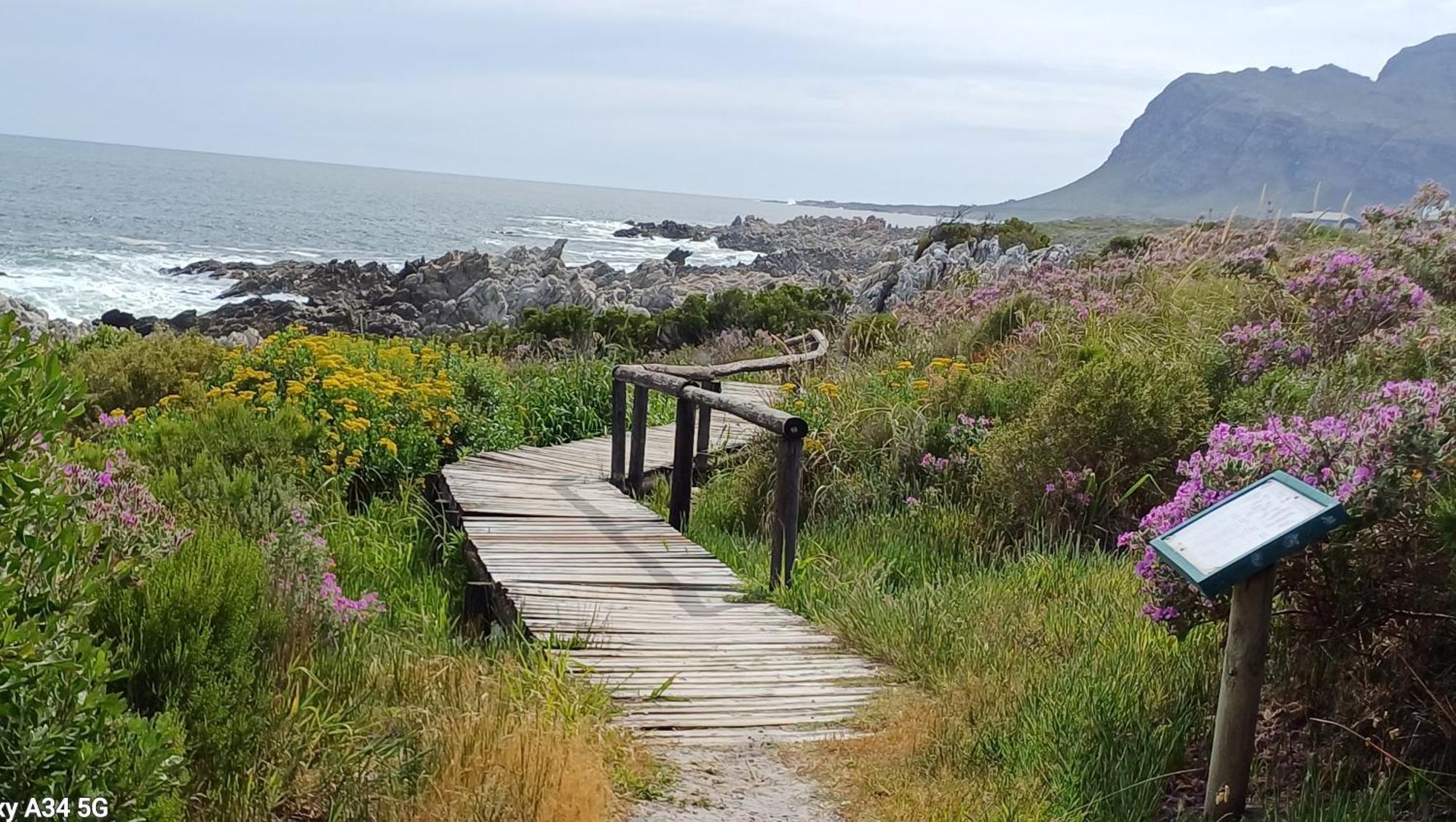 Kleinmond Panorama Holidays Buitenkant foto